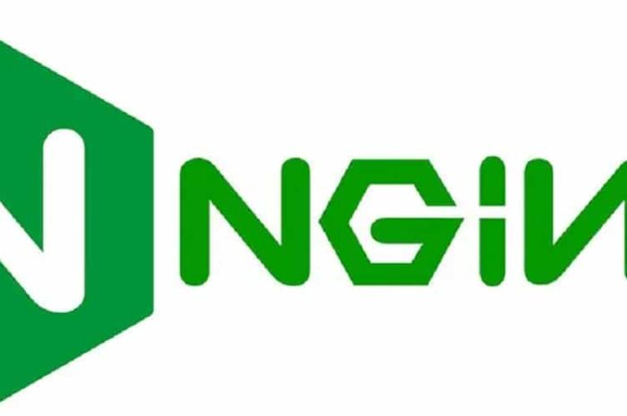 Configure Nginx as a Reverse Proxy on AWS EC2 Instance 2023